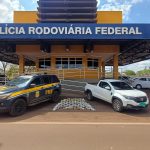 PRF intercepta cerca de 80 kg de drogas em Montividiu (GO)